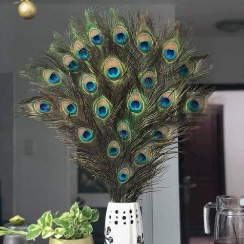 LÔNG CÔNG