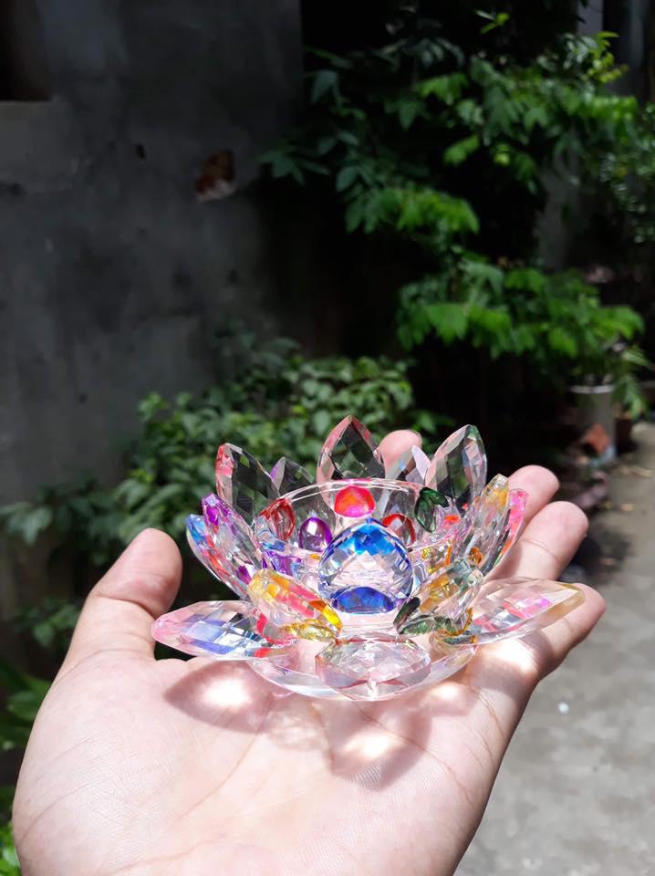 CHÂN ĐÈN HOA SEN PHA LÊ