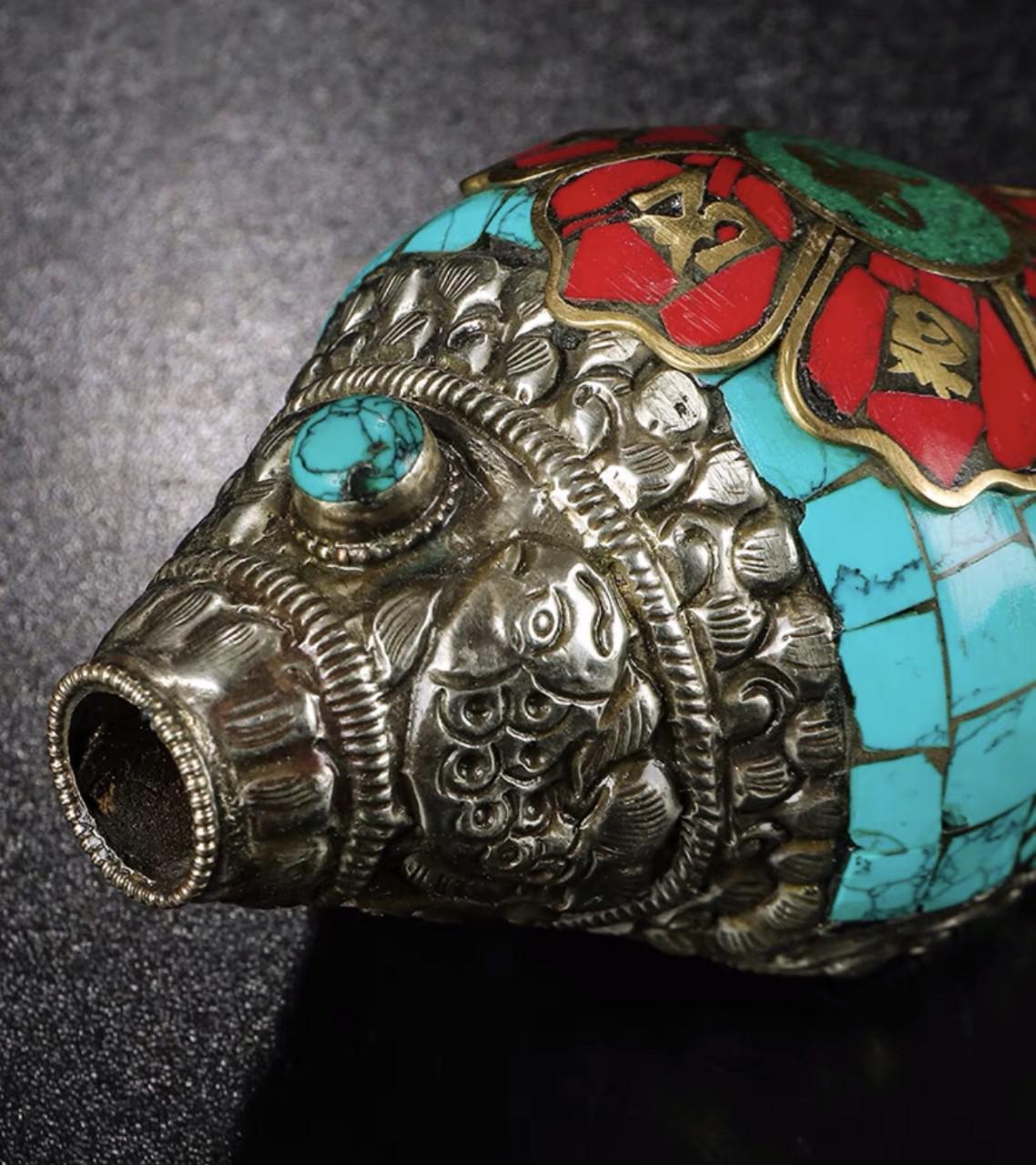 ỐC CÚNG DƯỜNG NEPAL - 9cm