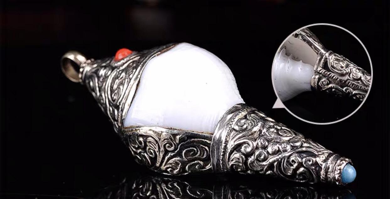 ỐC CÚNG DƯỜNG NEPAL SIZE NHỎ