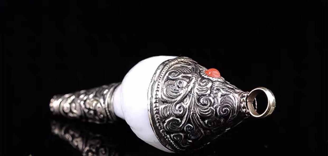 ỐC CÚNG DƯỜNG NEPAL SIZE NHỎ