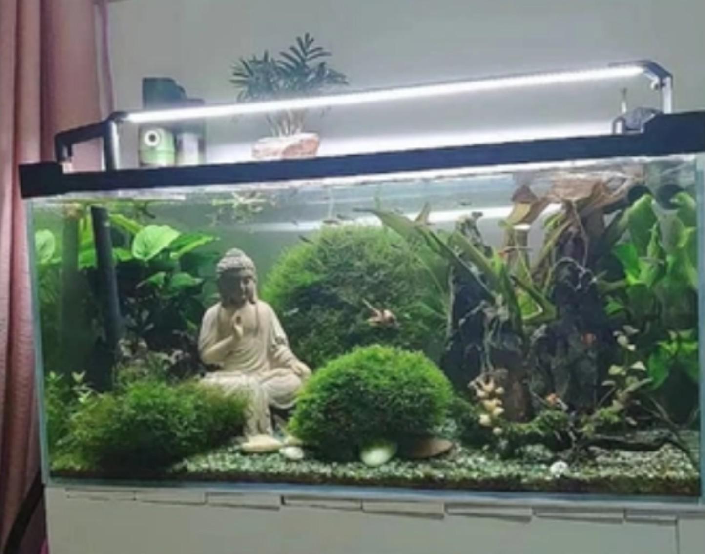 TƯỢNG DECOR