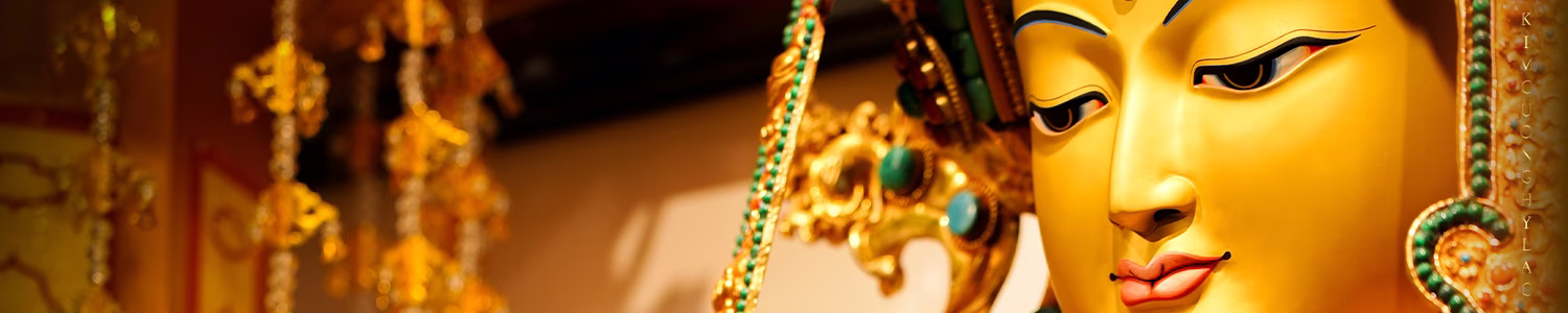 banner 1